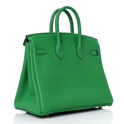 Hermes Togo Birkin 25 Bambou 3 of 10