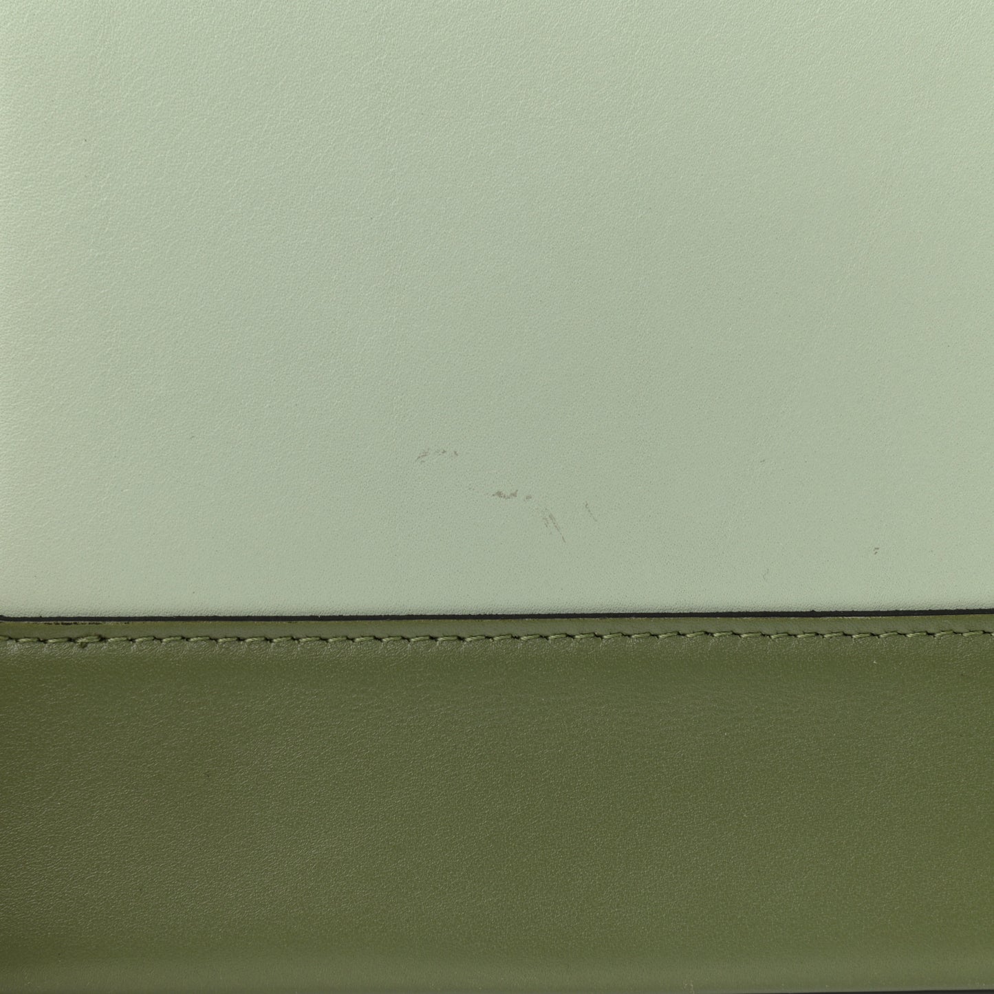 Shiny Smooth Calfskin Medium Frame Shoulder Bag Olive Pastel Green