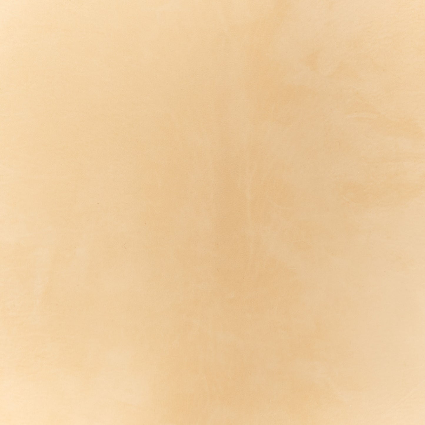 Nubuck Small N/S Park Tote Croissant