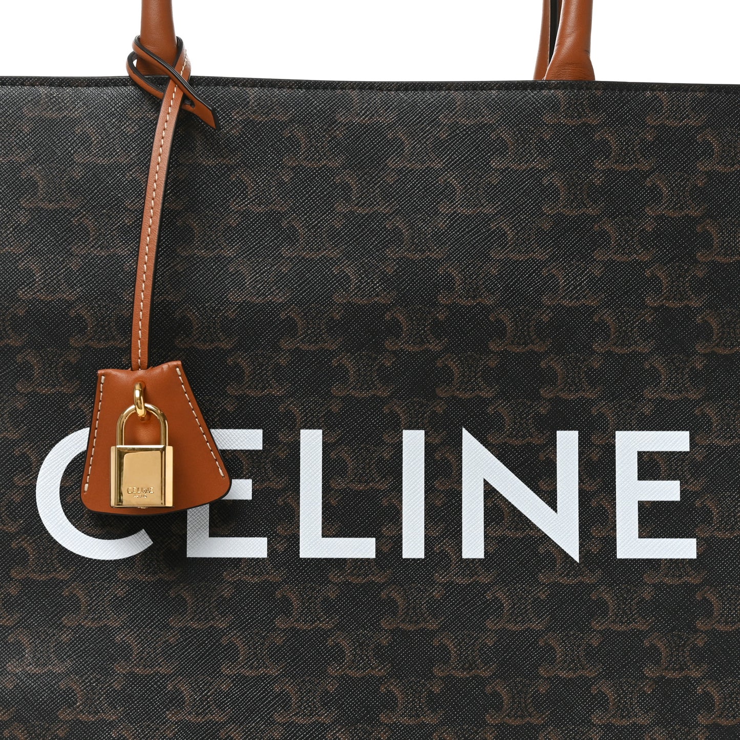 Triomphe Canvas Calfskin Large Vertical Cabas Tan