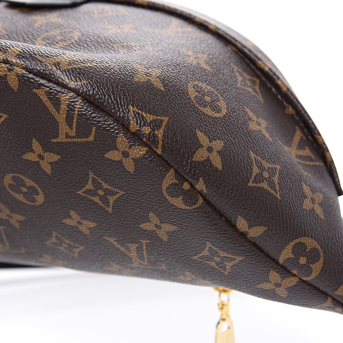 Monogram My LV World Tour Bumbag