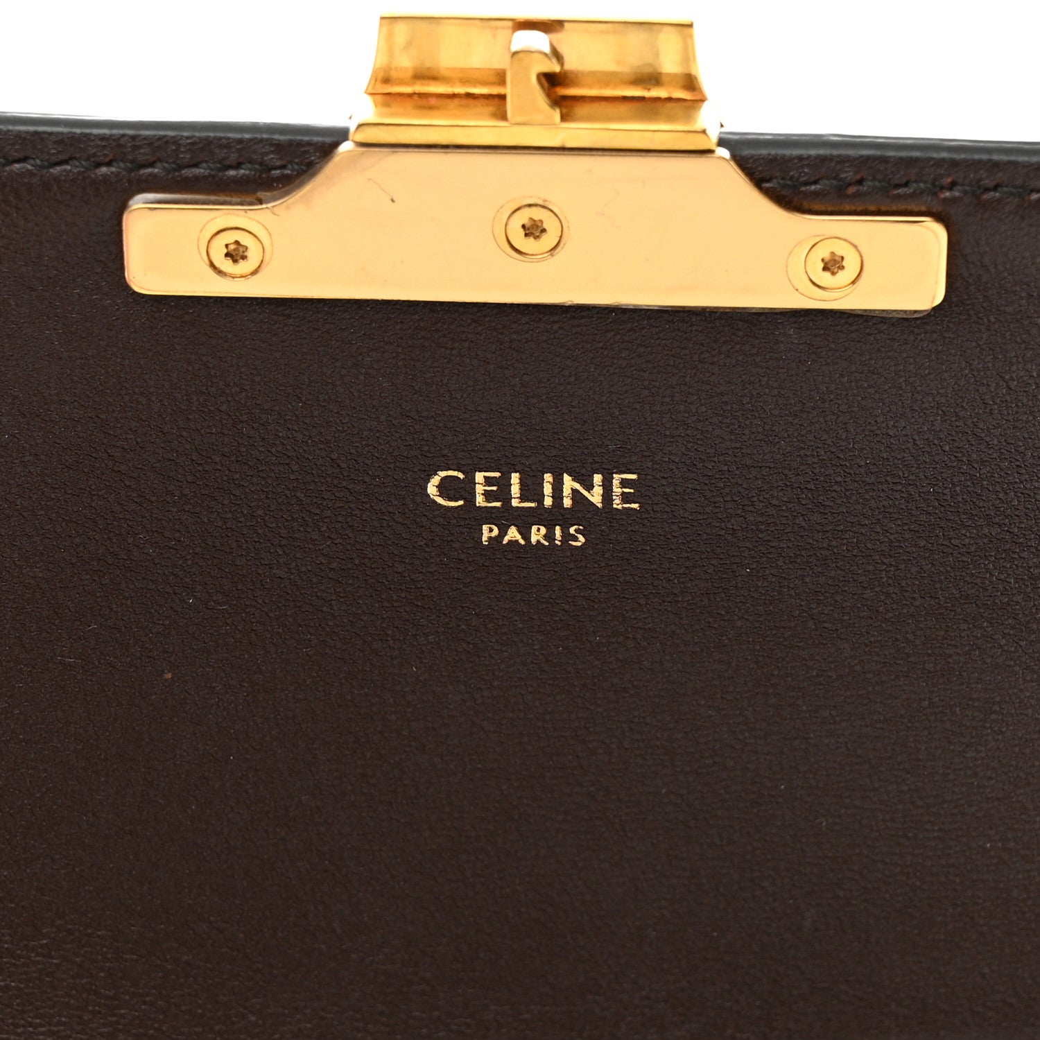Celine Watersnake Teen Triomphe Brown 6 of 16