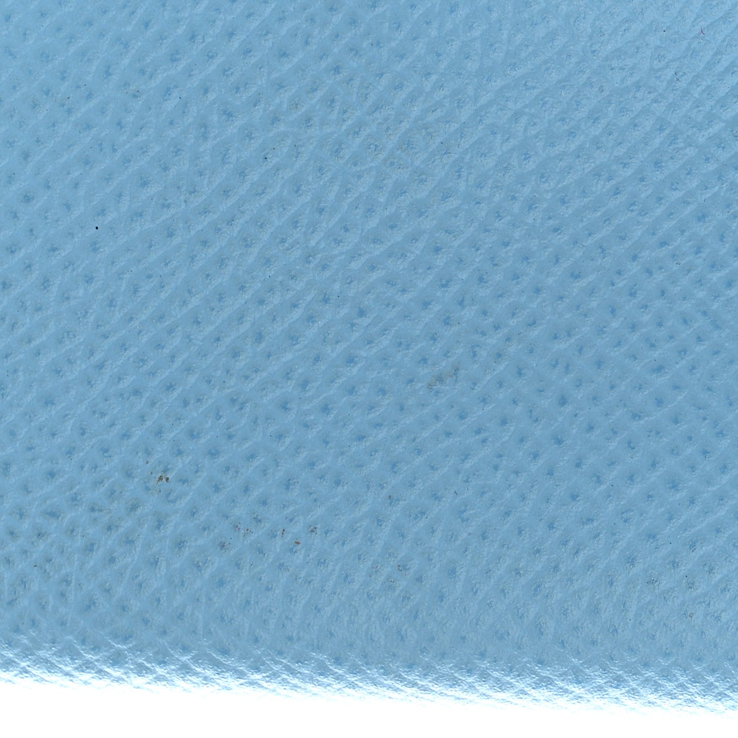 Epsom Clic 12 Wallet Celeste