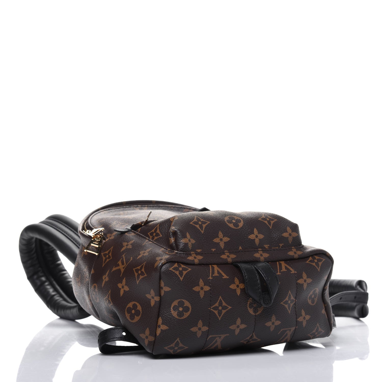 Louis Vuitton Monogram Palm Springs Backpack PM 3 of 12