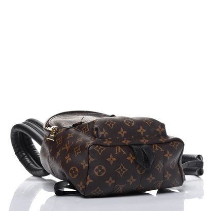 Louis Vuitton Monogram Palm Springs Backpack PM 3 of 12