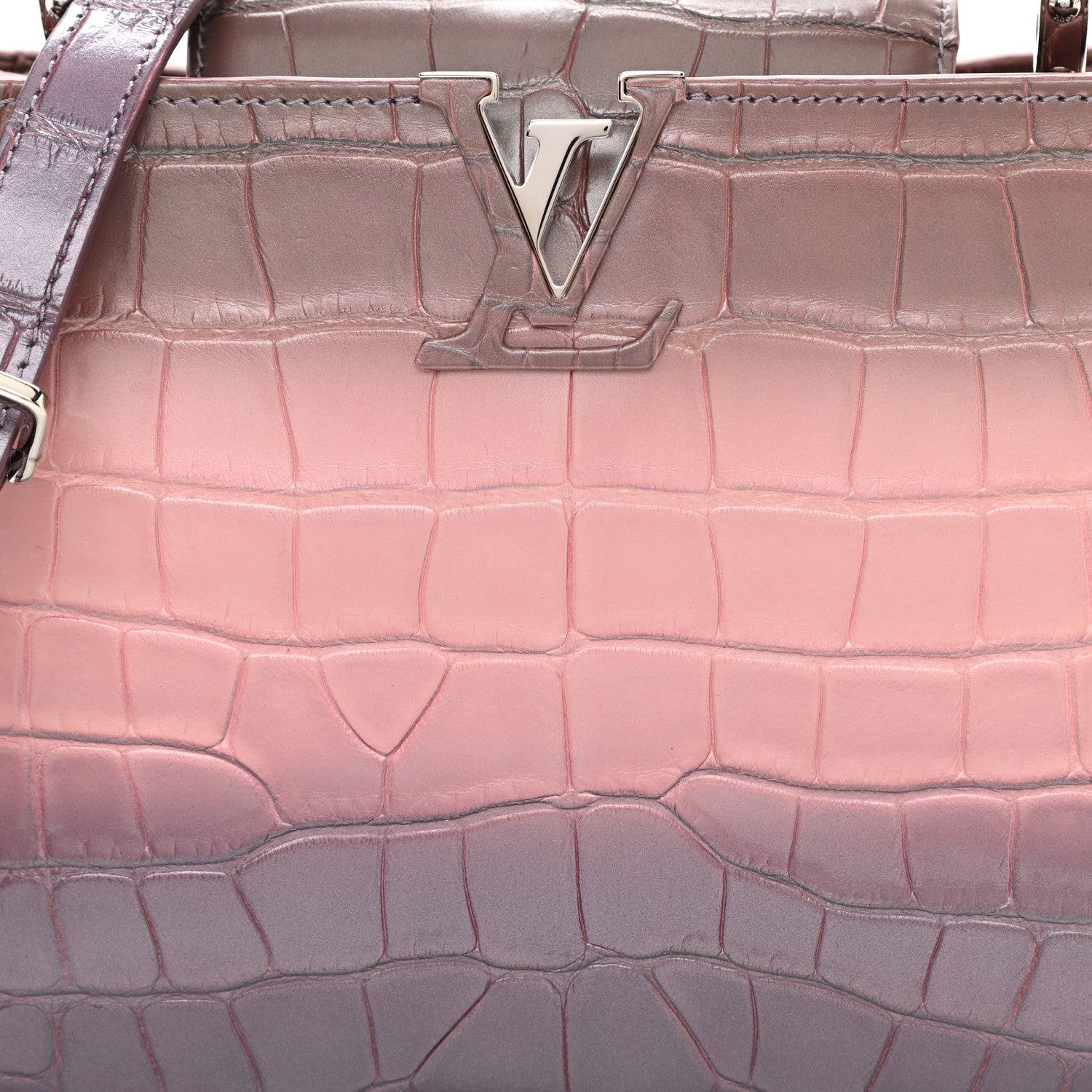 Louis Vuitton Crocodile Ombre Mini Capucines Pink 8 of 8