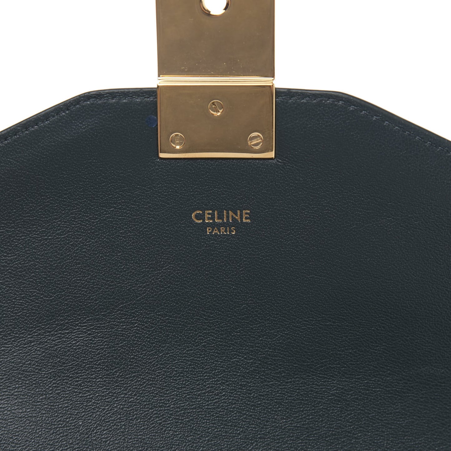 Shiny Calfskin Medium C Bag Amazone