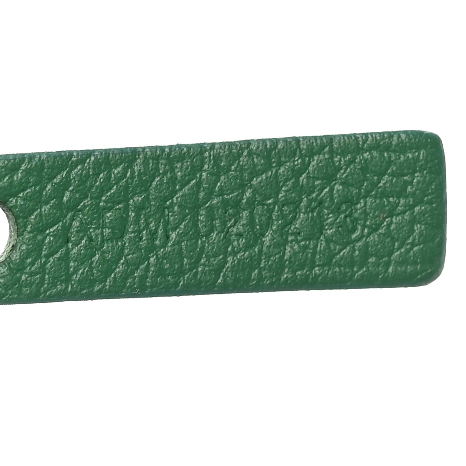 Goyard Goyardine Saint Louis PM Green 8 of 11