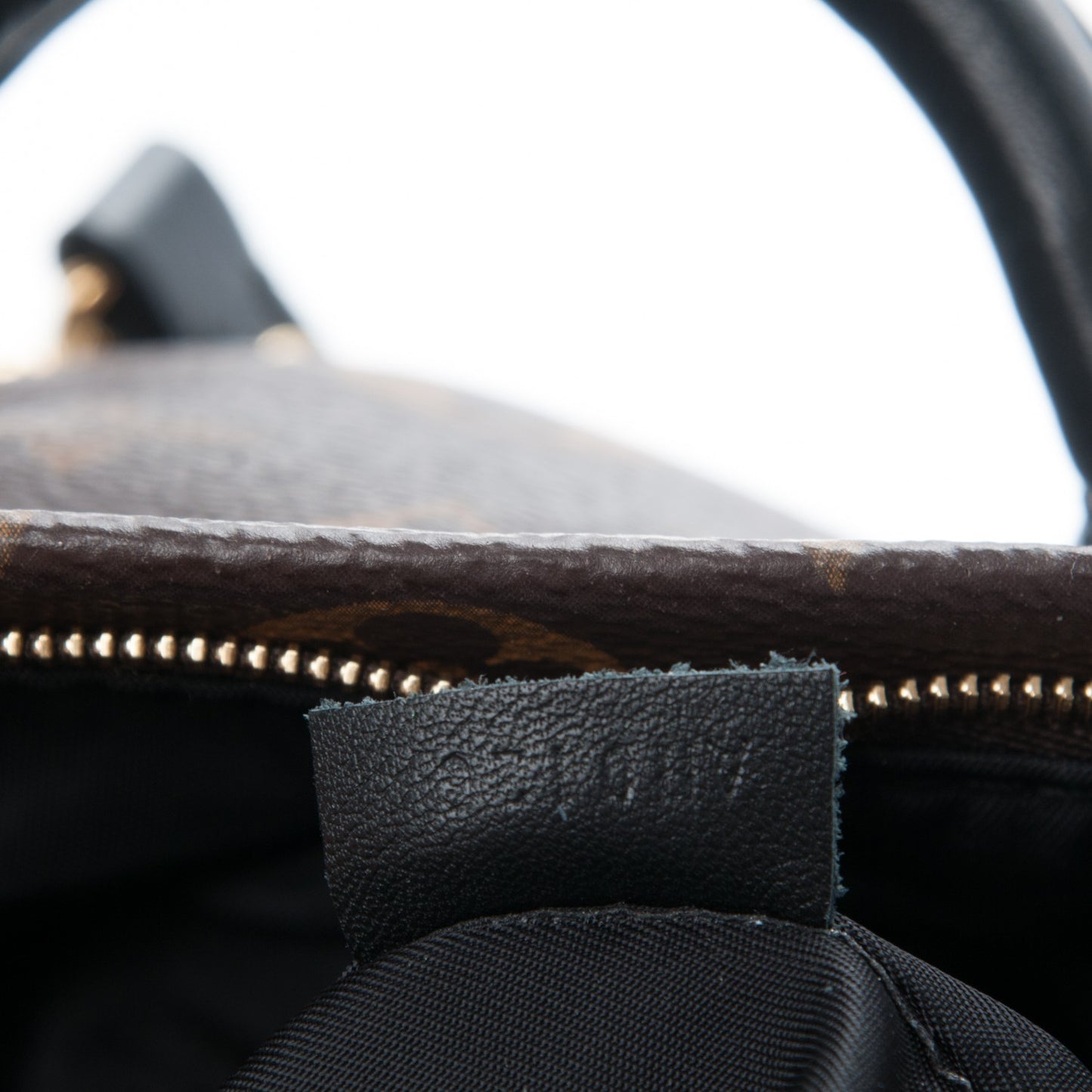 Monogram Palm Springs Backpack Mini