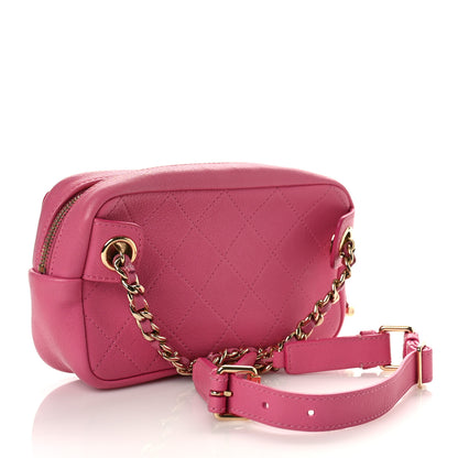 Chanel Goatksin Quilted Casual Trip Waist Bag Pink 3 of 9