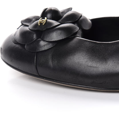 Chanel Lambskin Camellia Pumps 41 Black 12 of 13