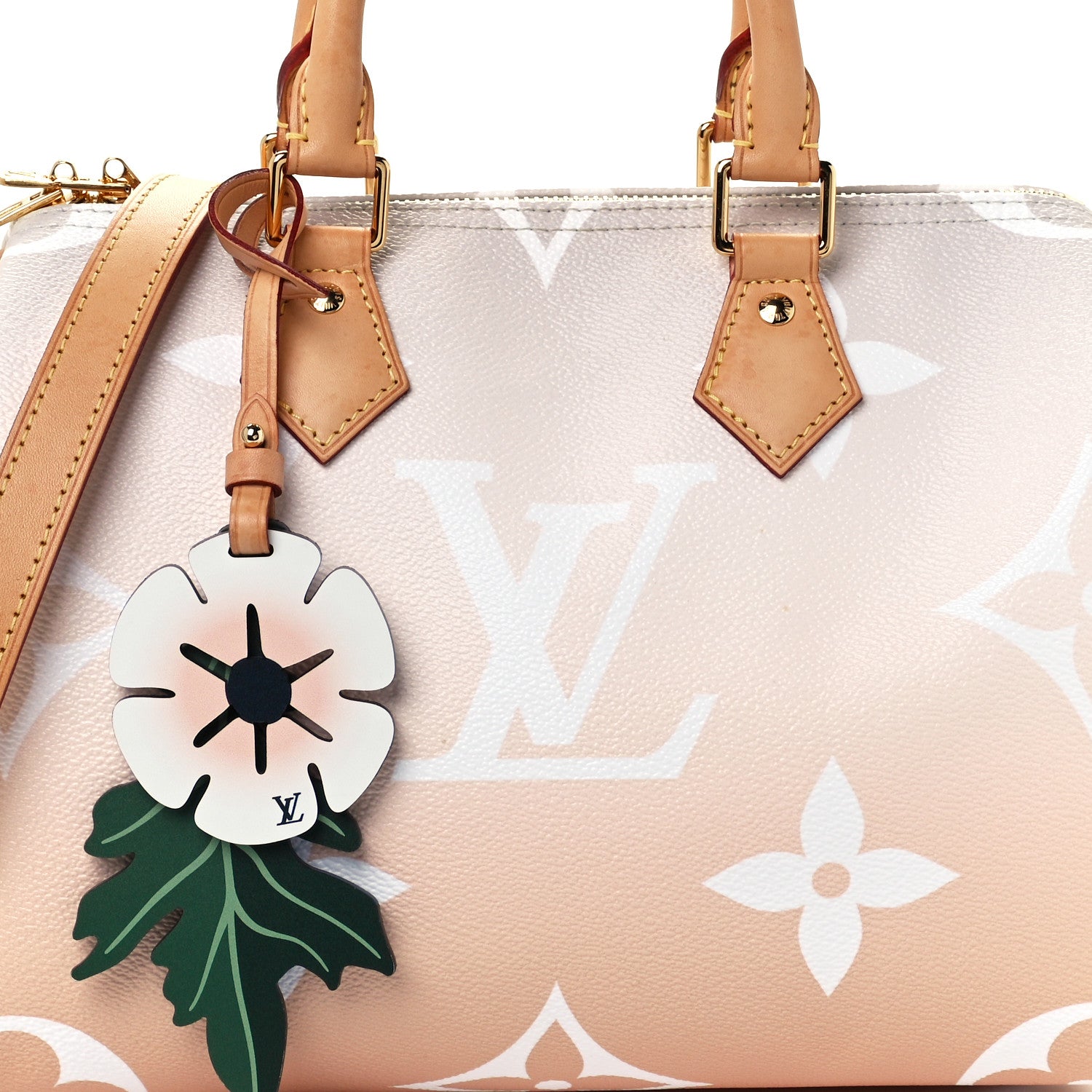 Louis Vuitton Monogram Giant By The Pool Speedy Bandouliere 25 Brume 8 of 11