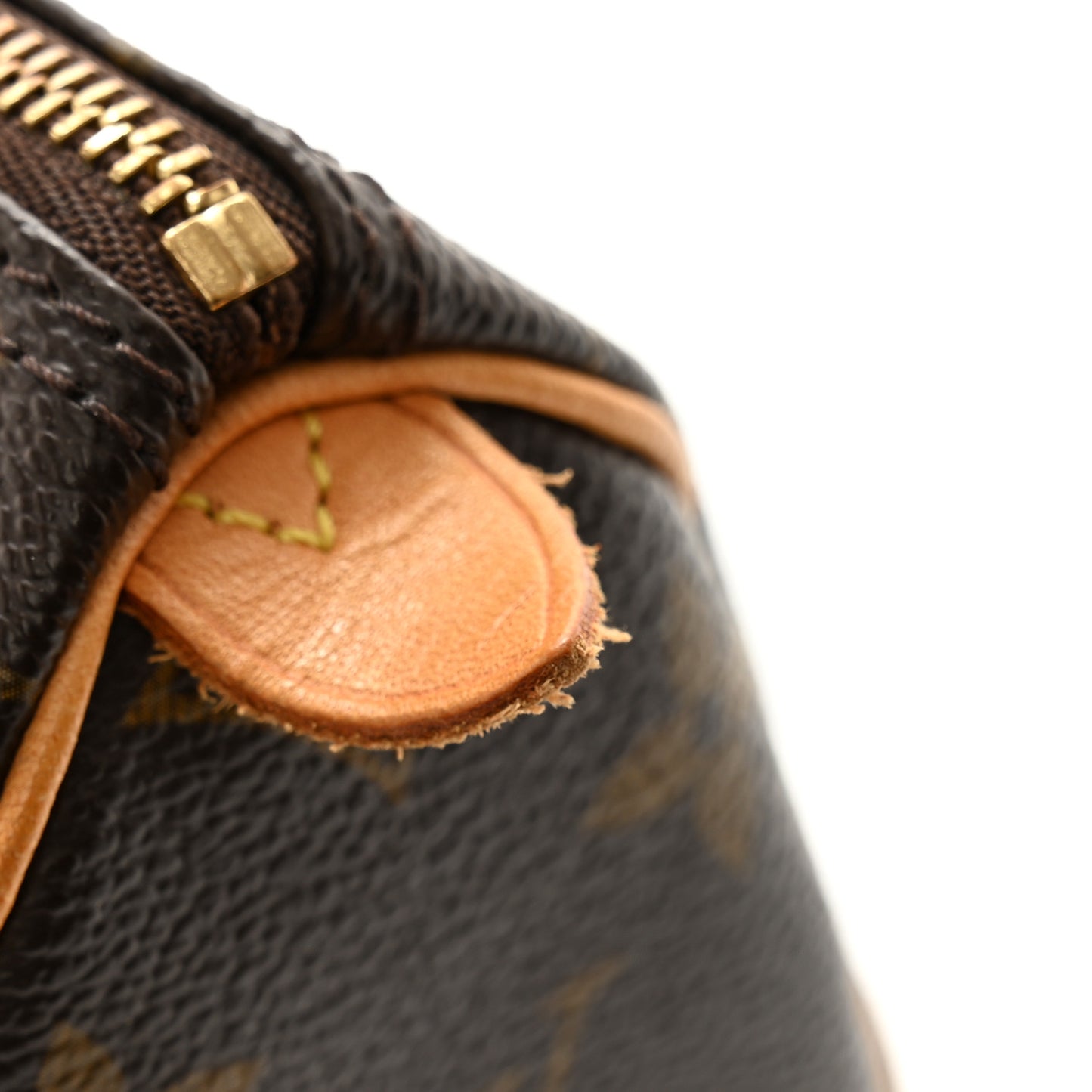 Monogram Mini Sac HL Speedy