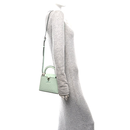 Louis Vuitton Ostrich Capucines Mini Vert Celadon 2 of 10