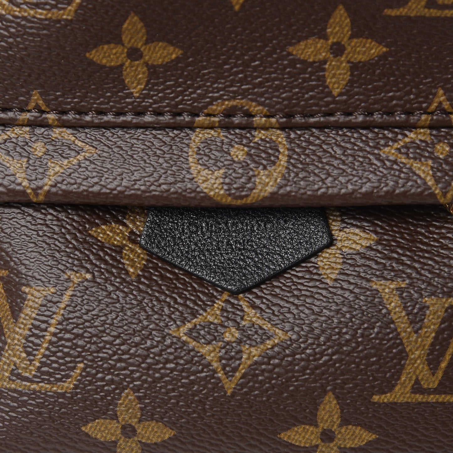 Monogram Palm Springs Backpack Mini