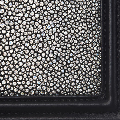 Chanel Galuchat Stingray Mini Boy Flap Black Silver 10 of 11