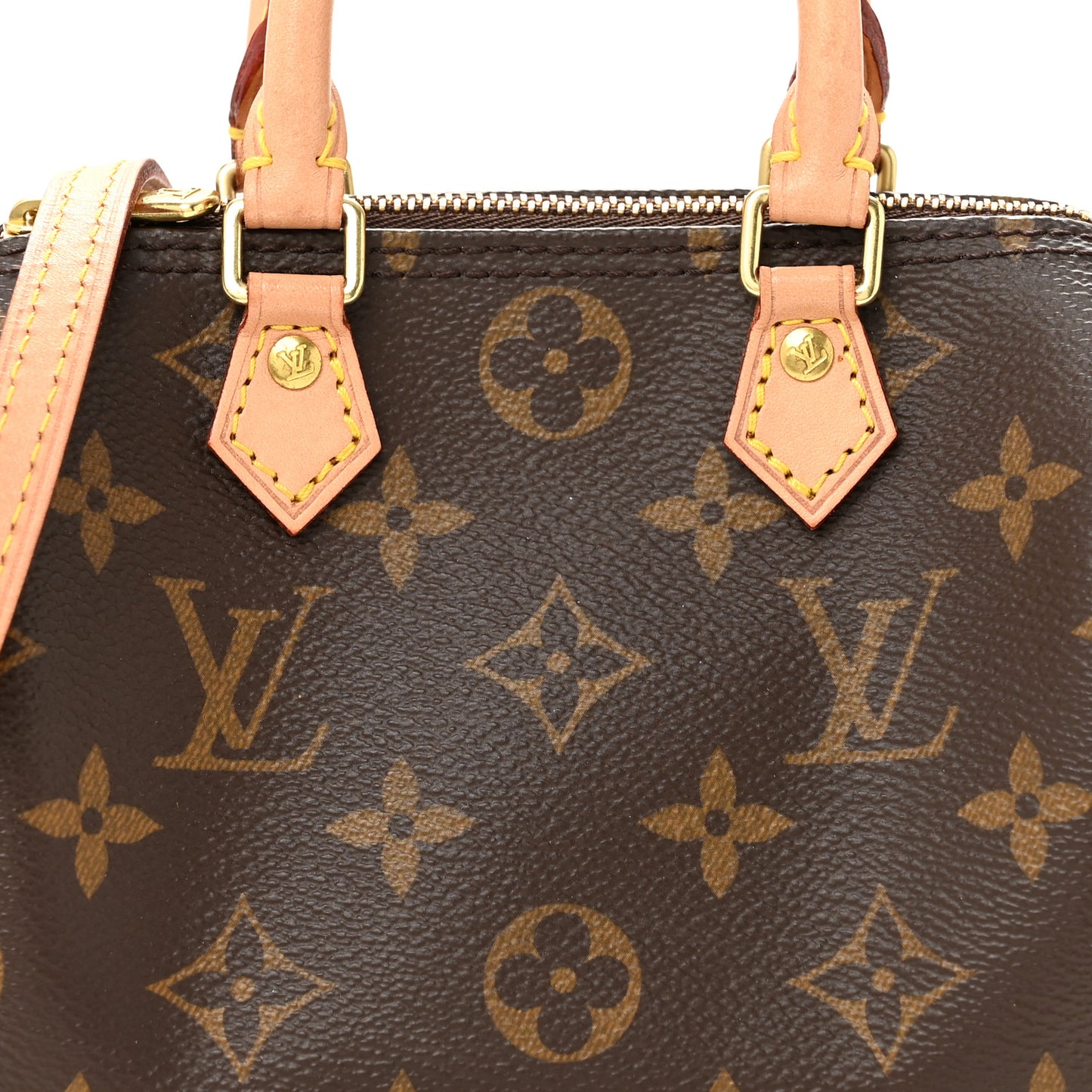Monogram Nano Speedy
