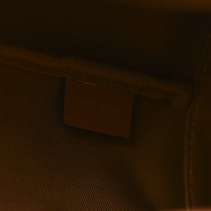 Celine Triomphe Canvas Calfskin Small Bucket Bag Tan 7 of 10