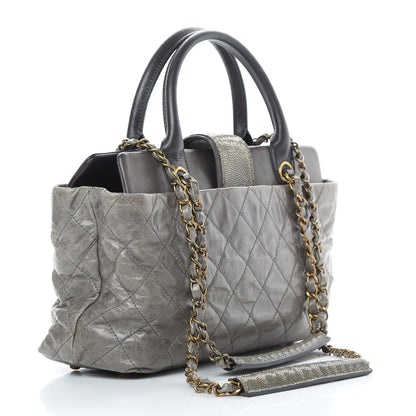 Chanel Glazed Calfskin Stingray Bindi CC Tote Grey 3 of 16