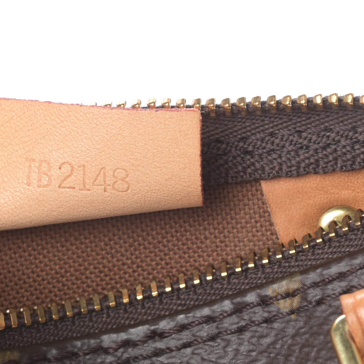 Monogram Nano Speedy