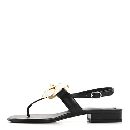 Chanel Lambskin Camellia Thong Sandals 38 Black White 1 of 10