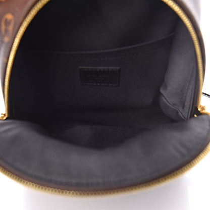Louis Vuitton Monogram Palm Springs Backpack PM 7 of 10