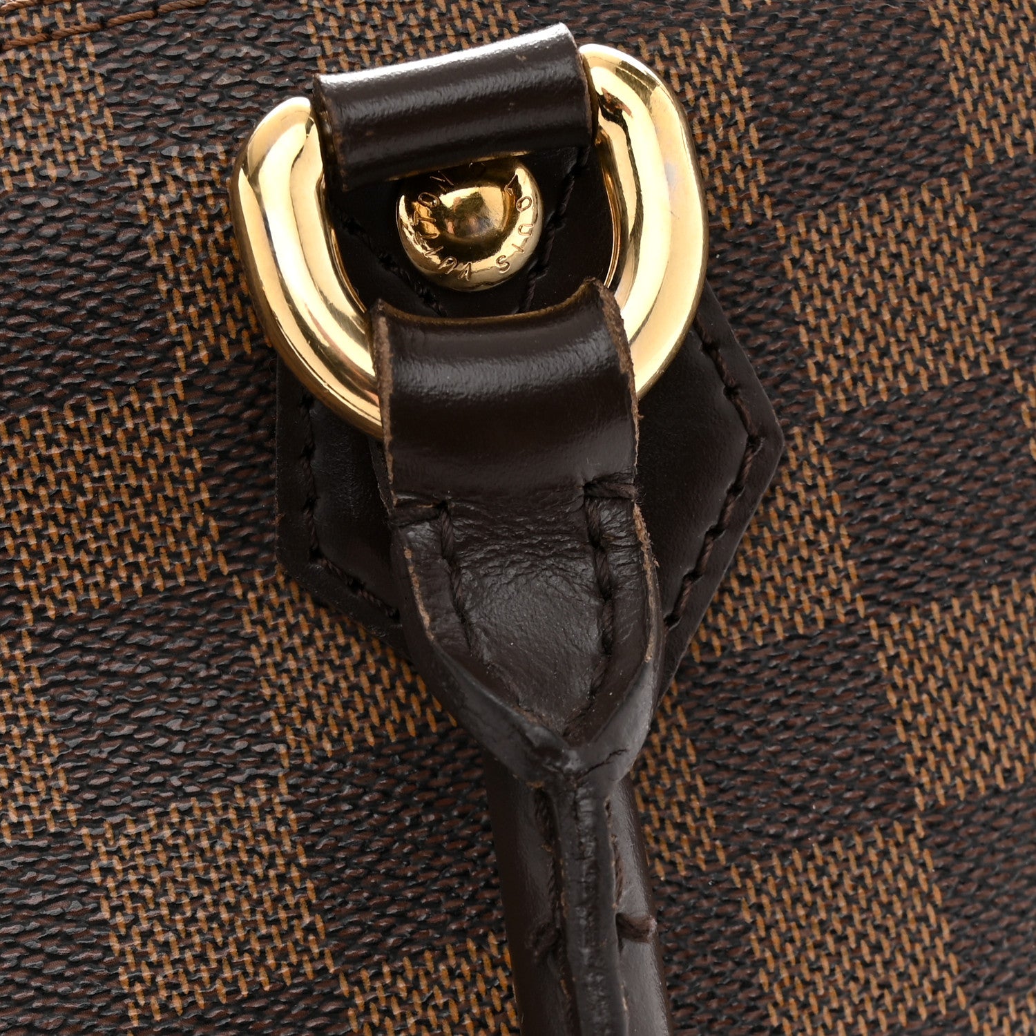 Louis Vuitton Damier Ebene Saleya PM 14 of 15