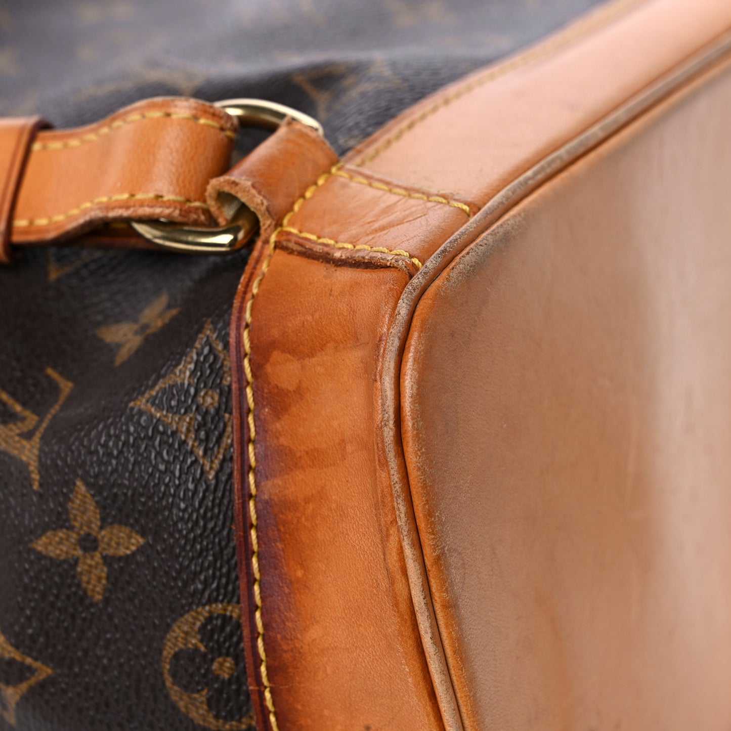 Monogram Montsouris GM Backpack