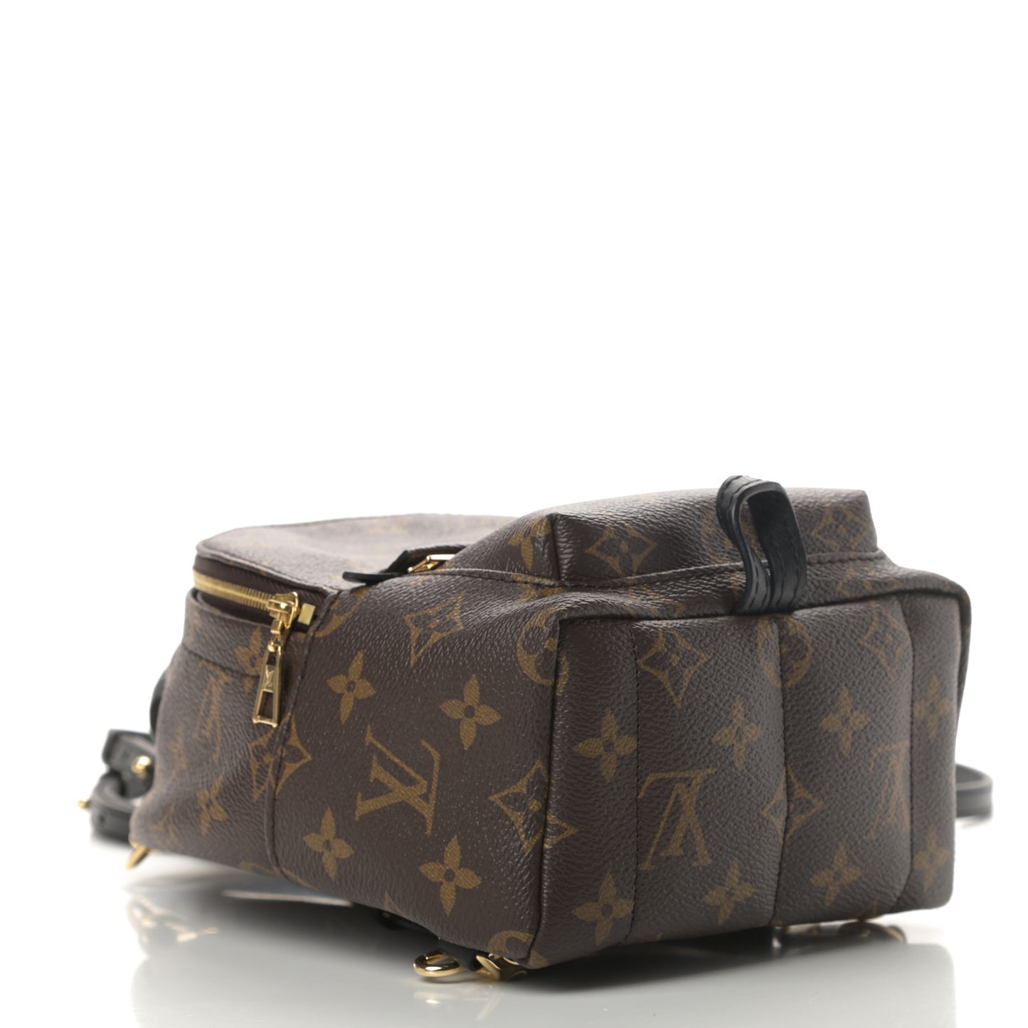 Monogram Palm Springs Backpack Mini
