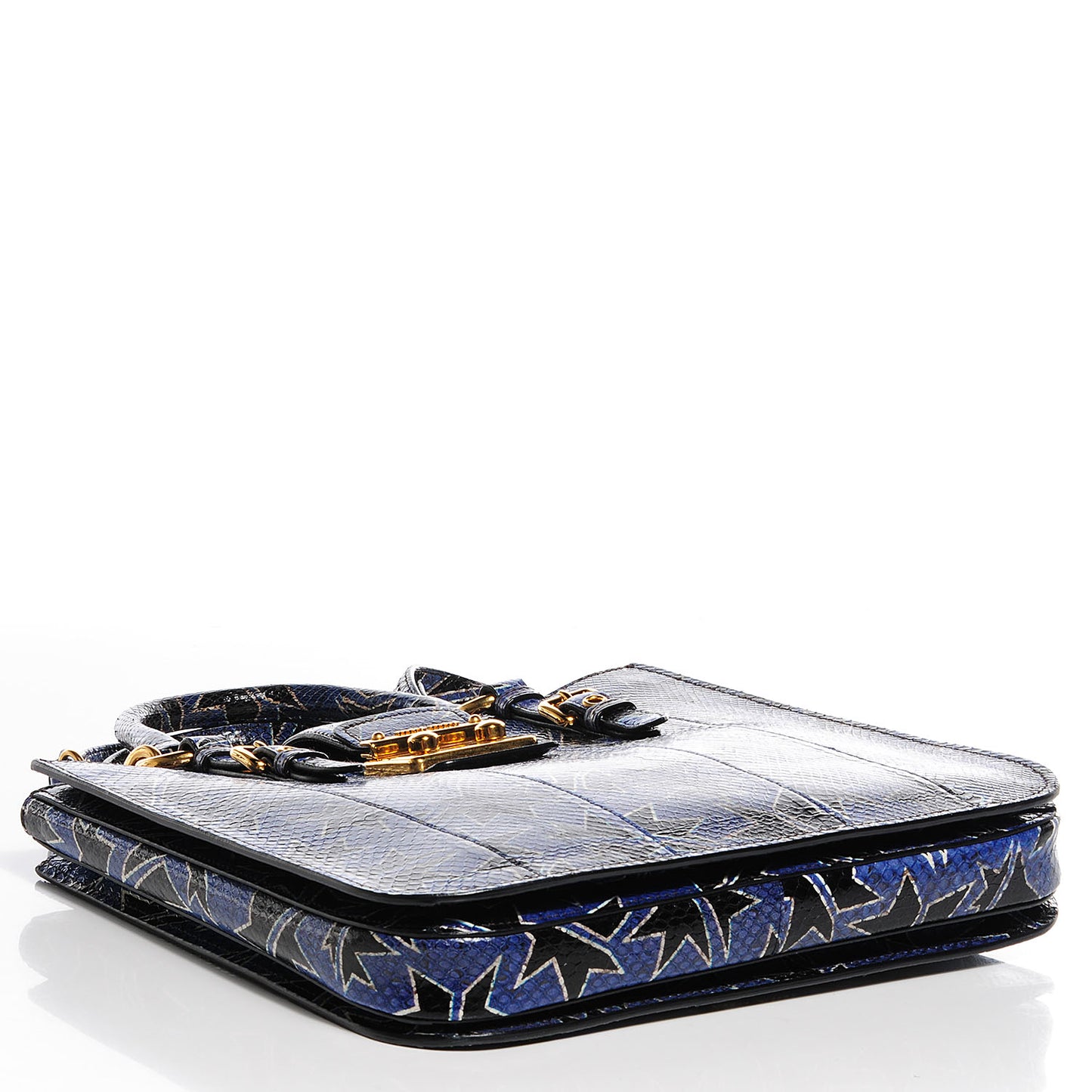 Hand Painted Ayers Watersnake Shopping Tote