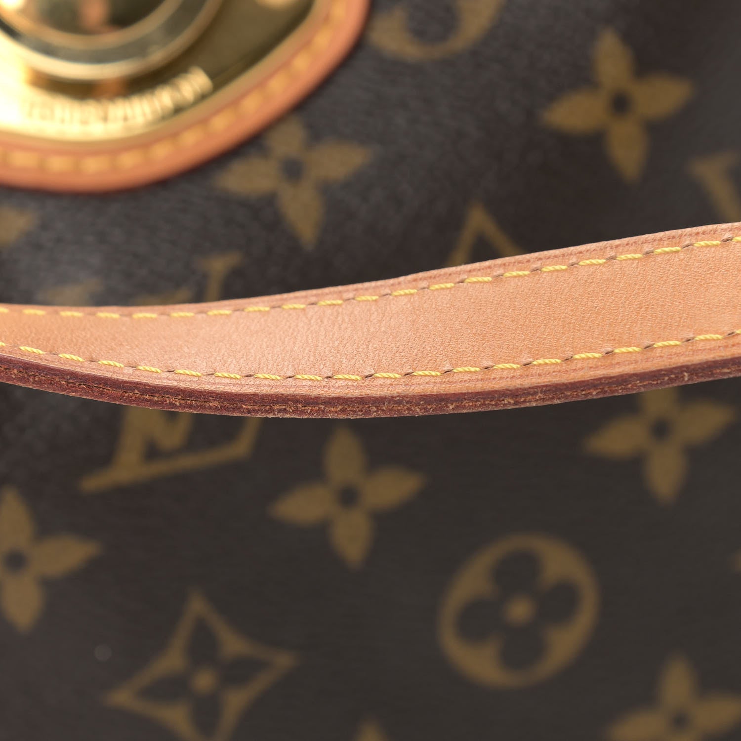 Louis Vuitton Monogram Stresa PM 10 of 11