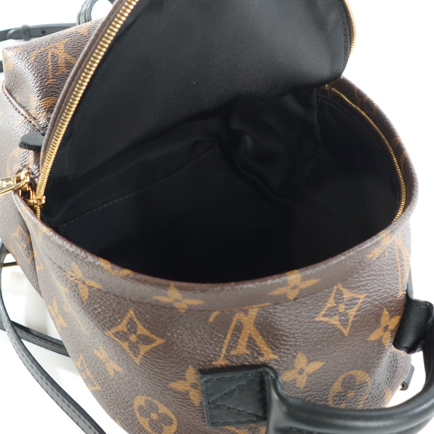 Monogram Palm Springs Backpack Mini
