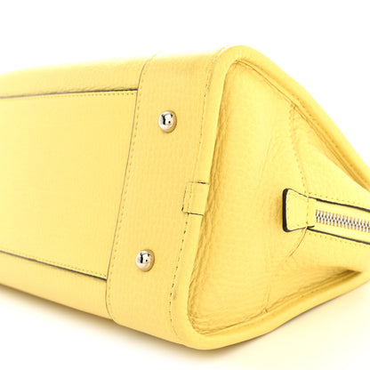 Loewe Calfskin Amazona 28 Yellow 9 of 12