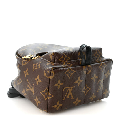Louis Vuitton Monogram Palm Springs Backpack Mini 4 of 9