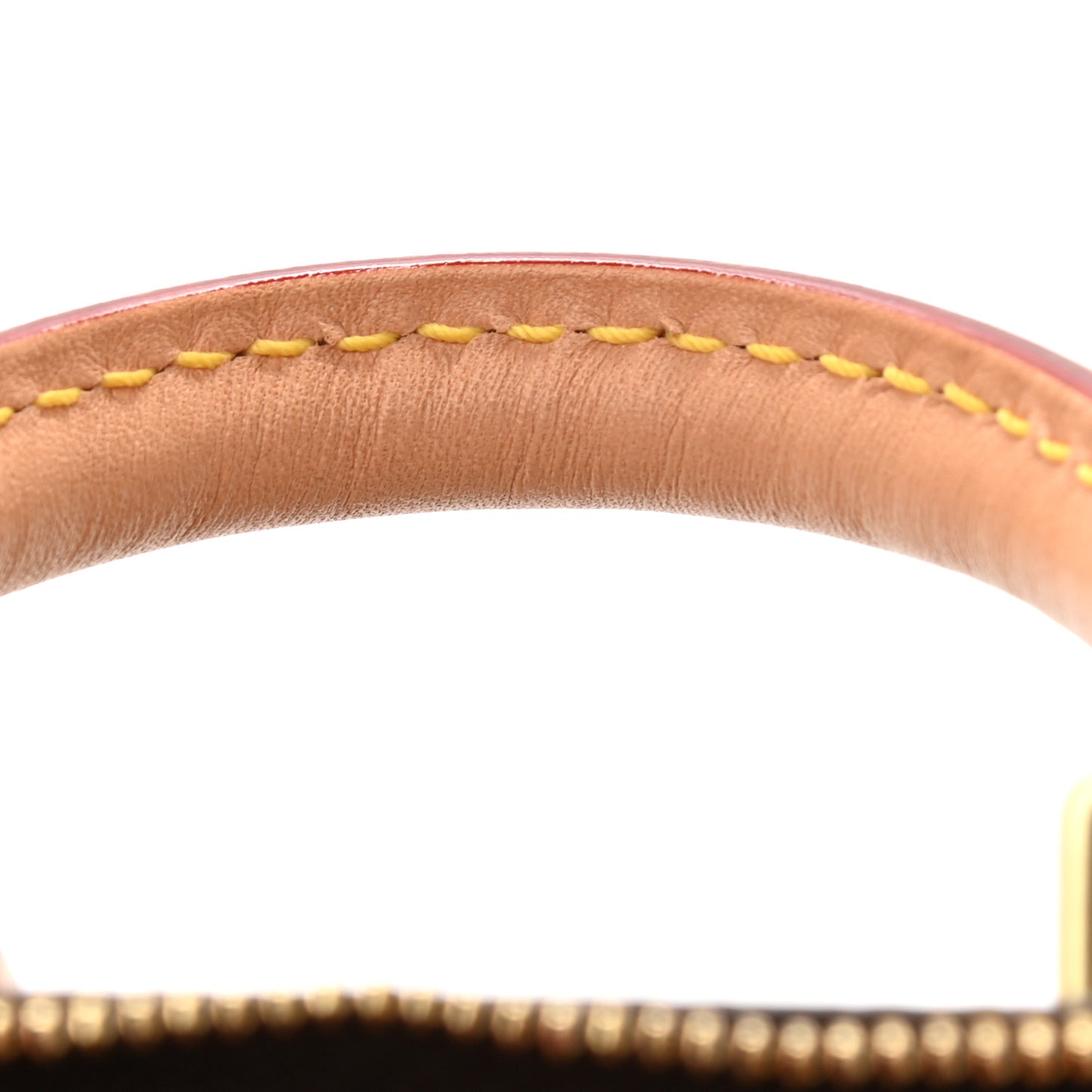 Monogram Nano Speedy