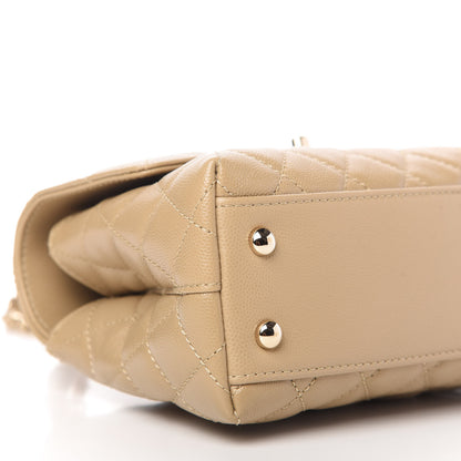 Chanel Caviar Lizard Embossed Quilted Mini Coco Handle Flap Dark Beige 6 of 11