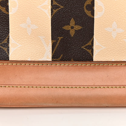 Louis Vuitton Monogram Rayures Noe 16 of 16