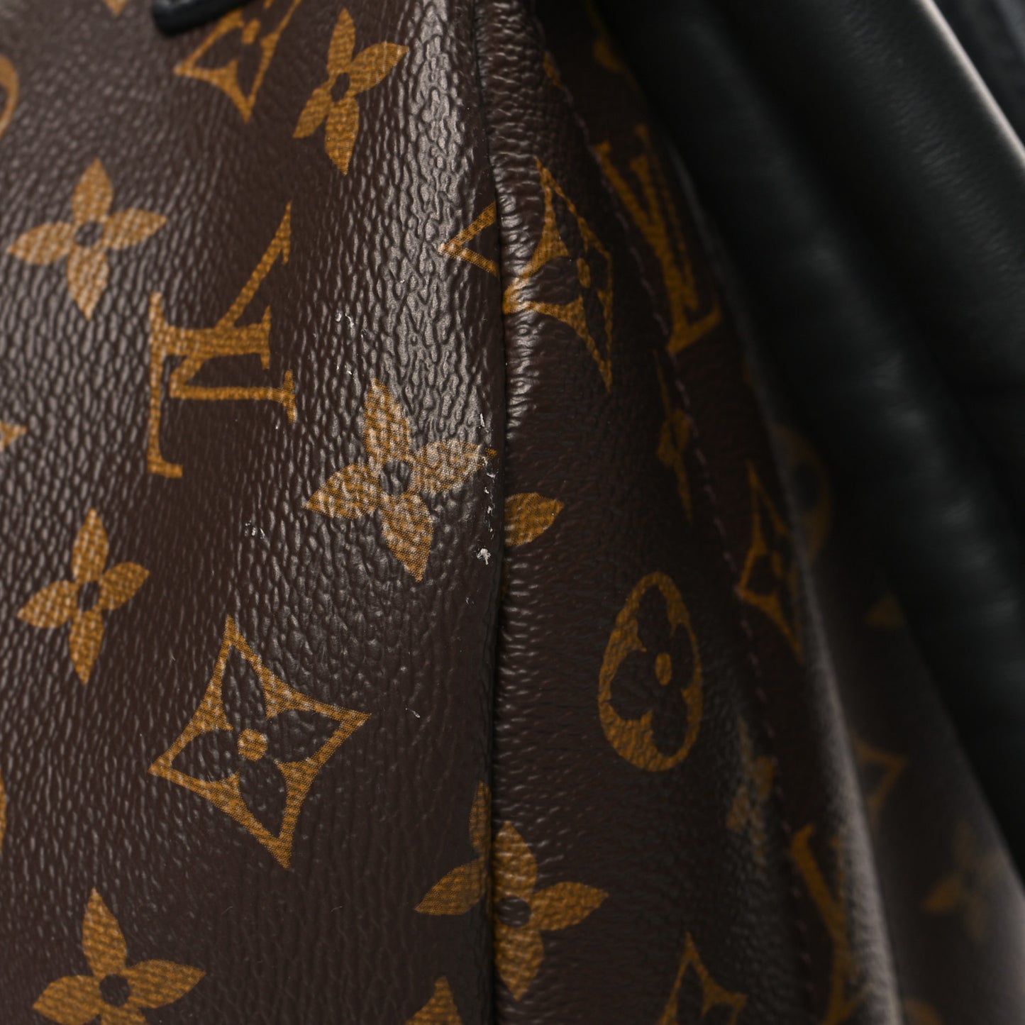 Monogram Palm Springs Backpack PM