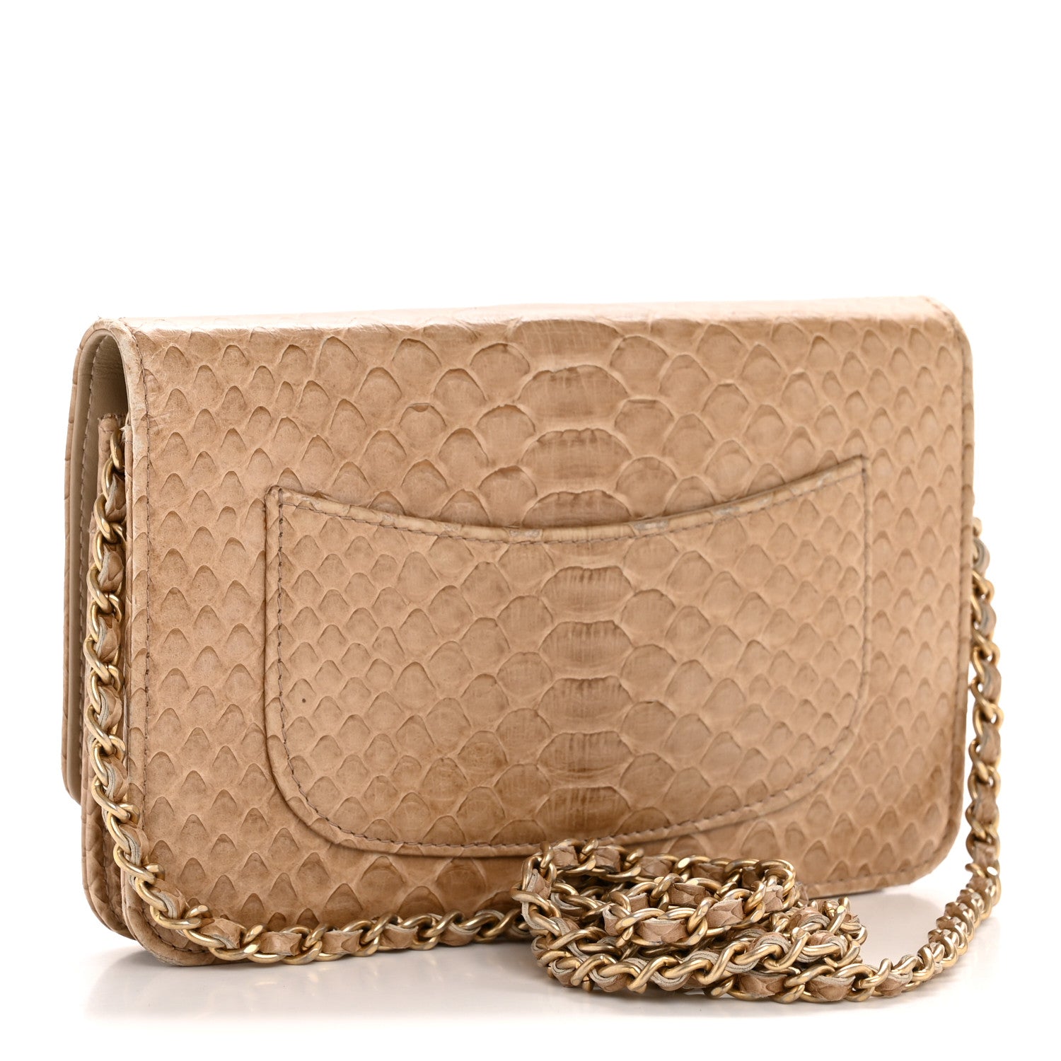 Chanel Snakeskin Wallet On Chain WOC Beige 3 of 15
