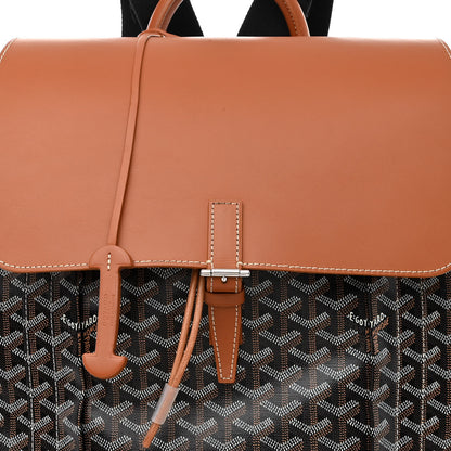Goyard Goyardine Calfskin Alpin MM Backpack Gold Black 7 of 16