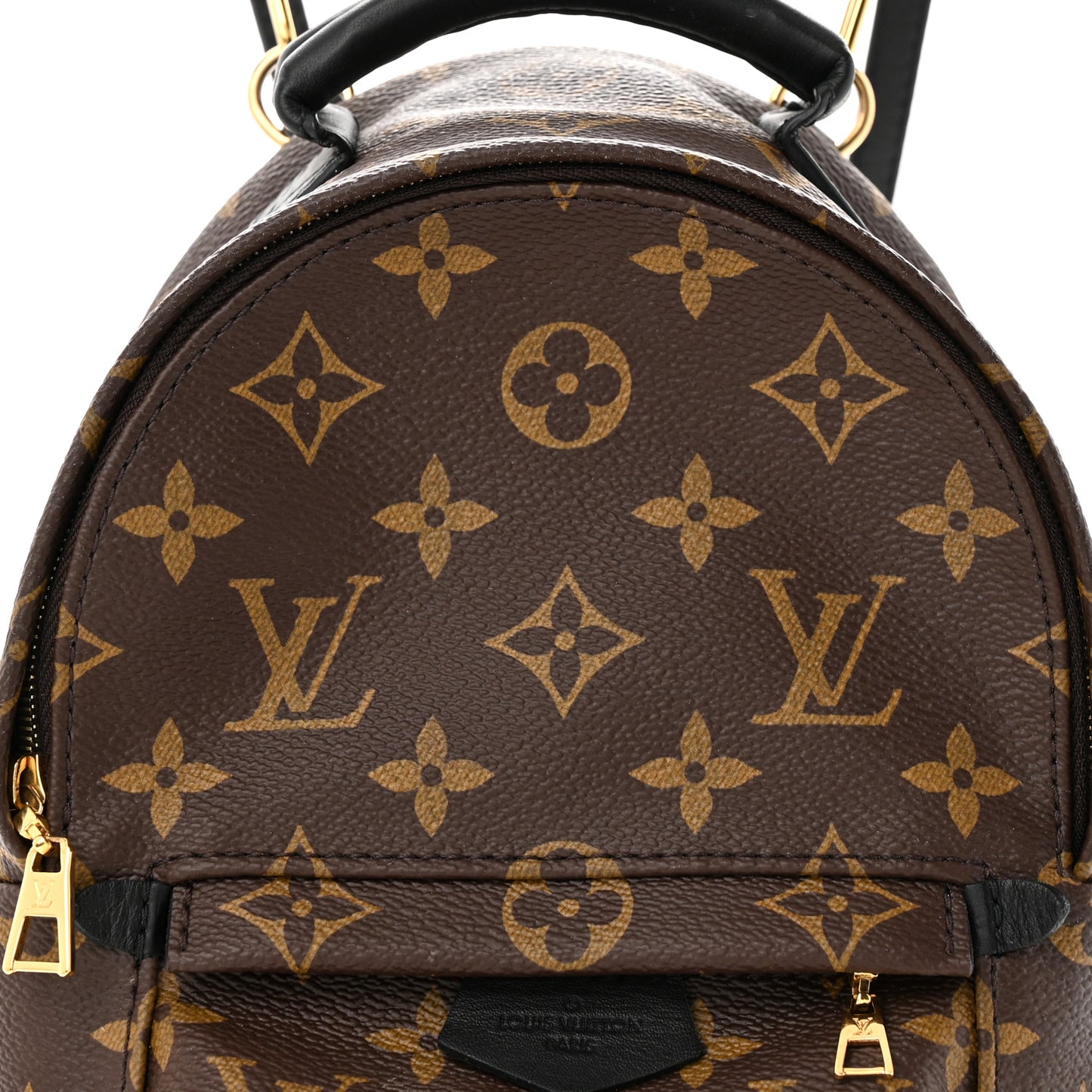 Monogram Palm Springs Backpack Mini