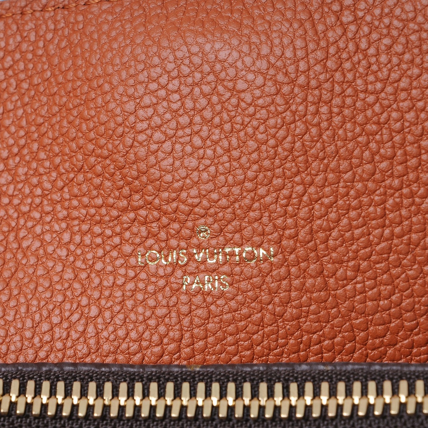 Monogram Manhattan NM Caramel