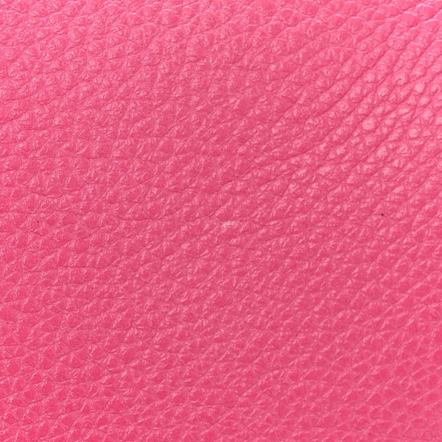 Grained Calfskin Small Logo Belt Bag Box Pink Green