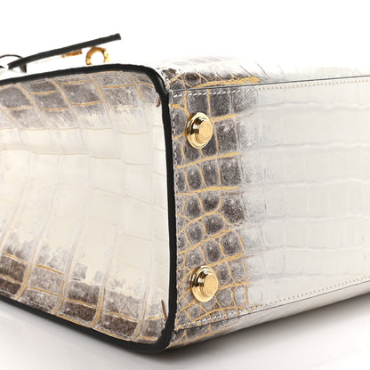 Louis Vuitton LOUIS VUITTON Himalaya Crocodile City Steamer PM 9 of 10