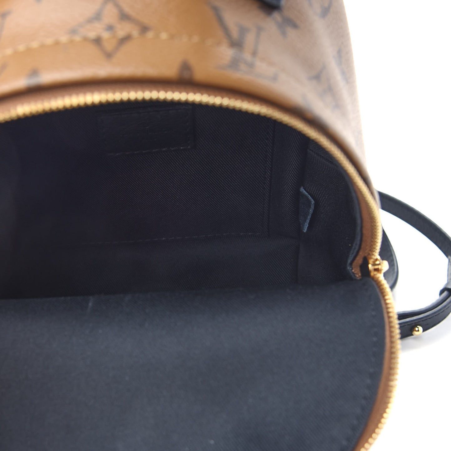 Reverse Monogram Palm Springs Backpack Mini