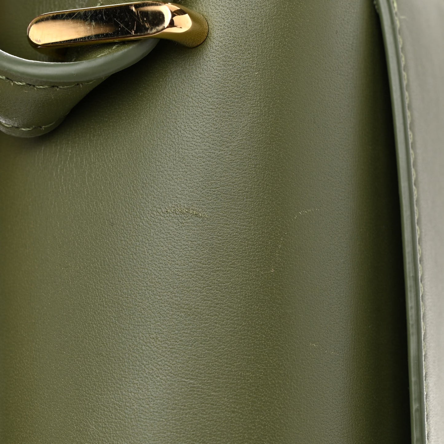 Silk Calfskin Goya Bag Avocado