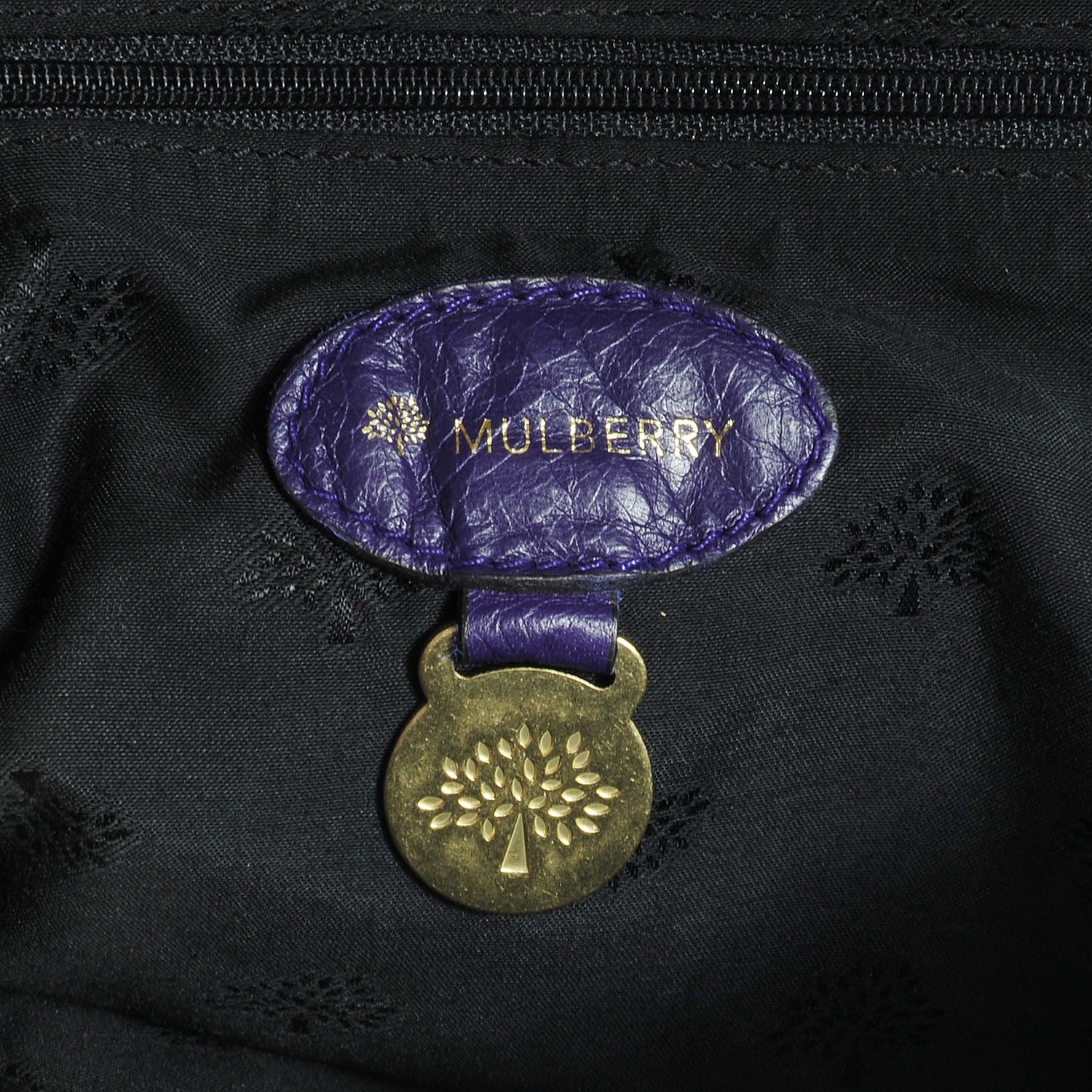 Mulberry Soft Buffalo Leather Medium Alexa Grape 8 of 12