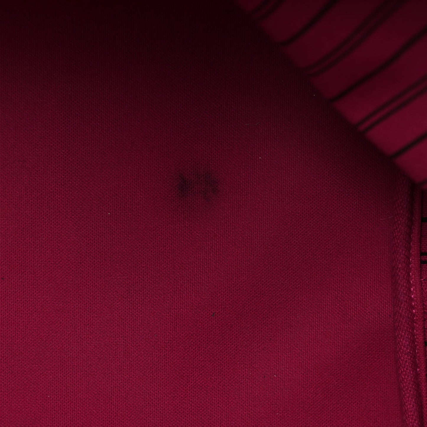 Monogram Neo Neverfull GM Pivoine