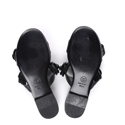 Chanel Lambskin Camellia Sandals 35.5 Black 5 of 11