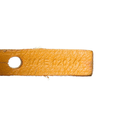 Goyard Goyardine Saint Louis PM Yellow 9 of 21